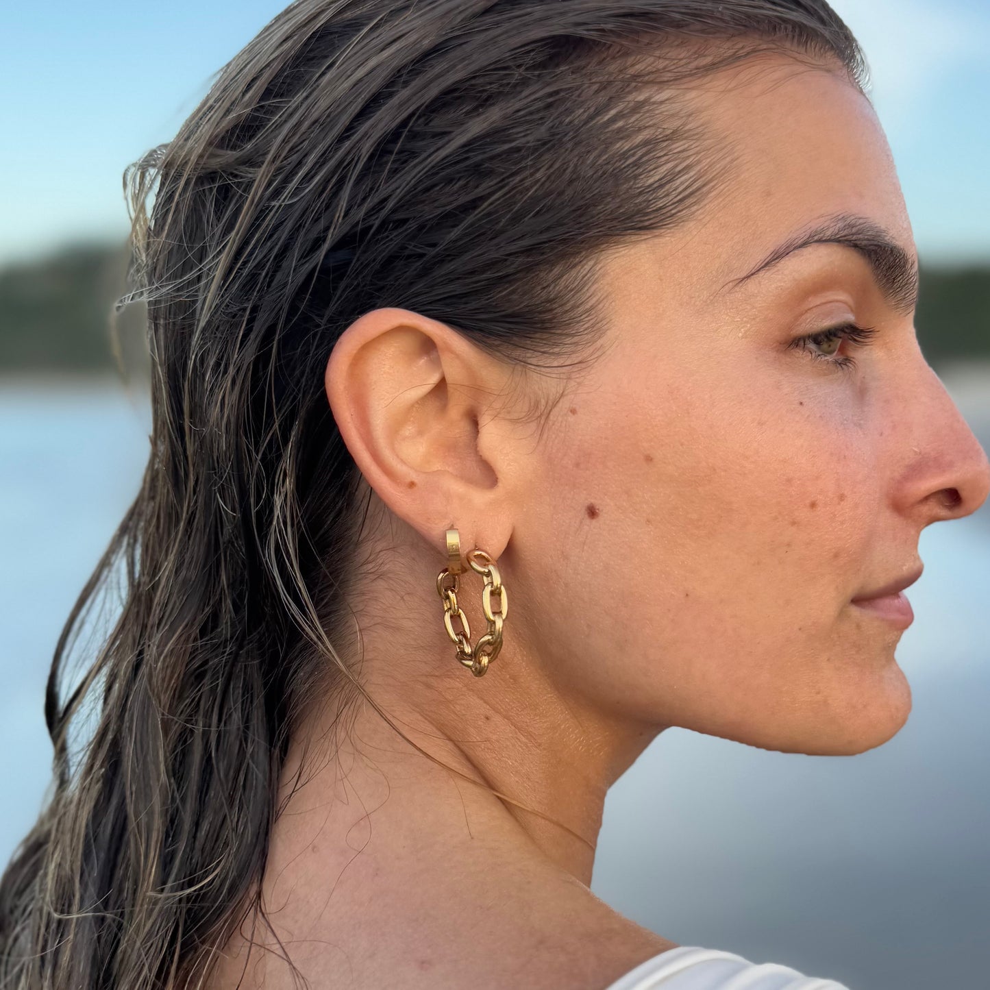 Sienna Earrings Hoops