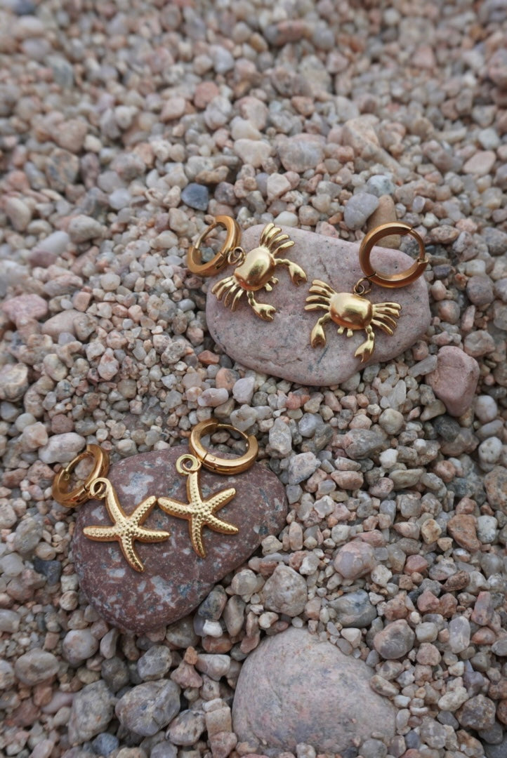 Starfish Hoops | 18K Gold Plated Steel