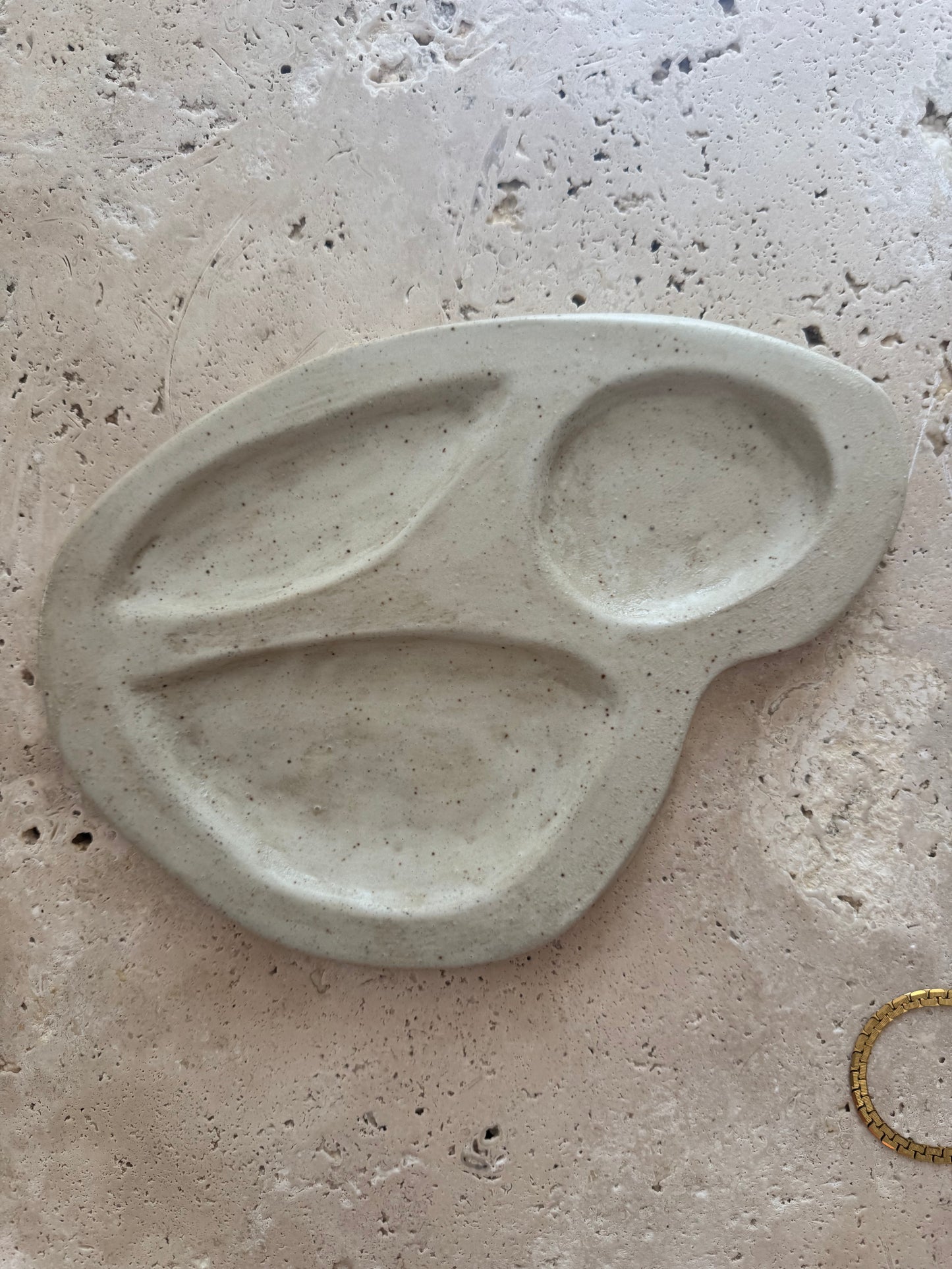 Terra Dish