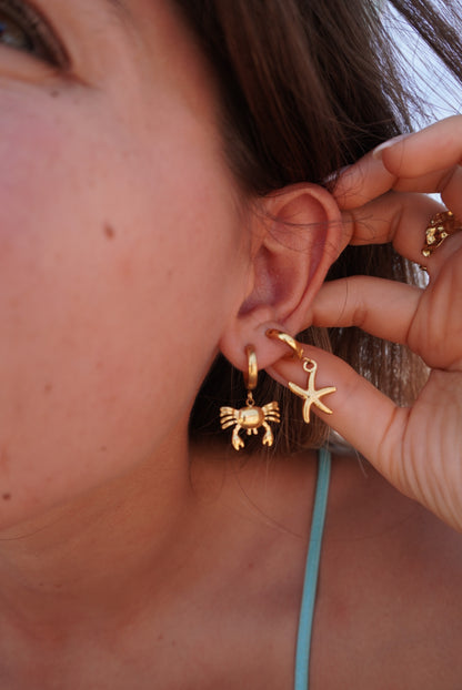 Starfish Hoops | 18K Gold Plated Steel