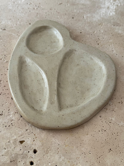 Terra Dish