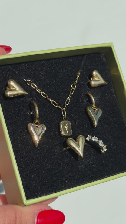 Love Me Earrings